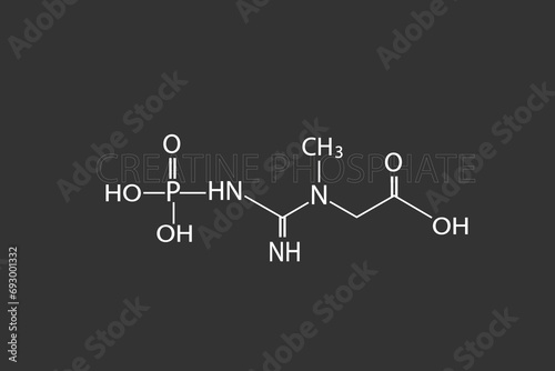Creatine phosphate molecular skeletal chemical formula