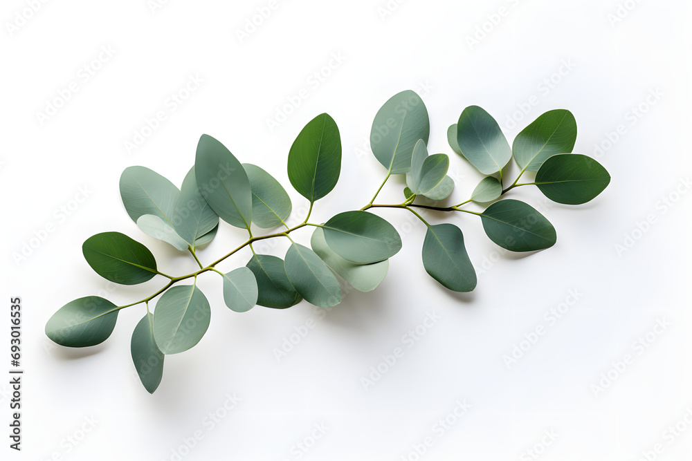 Celestial Eucalyptus Harmony - Generative AI Celestial Eucalyptus Harmony - Generative AI
