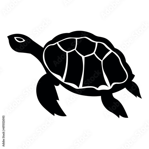 Turtle icon isolated on white background