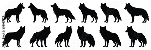 Wolf silhouettes set  large pack of vector silhouette design  isolated white background