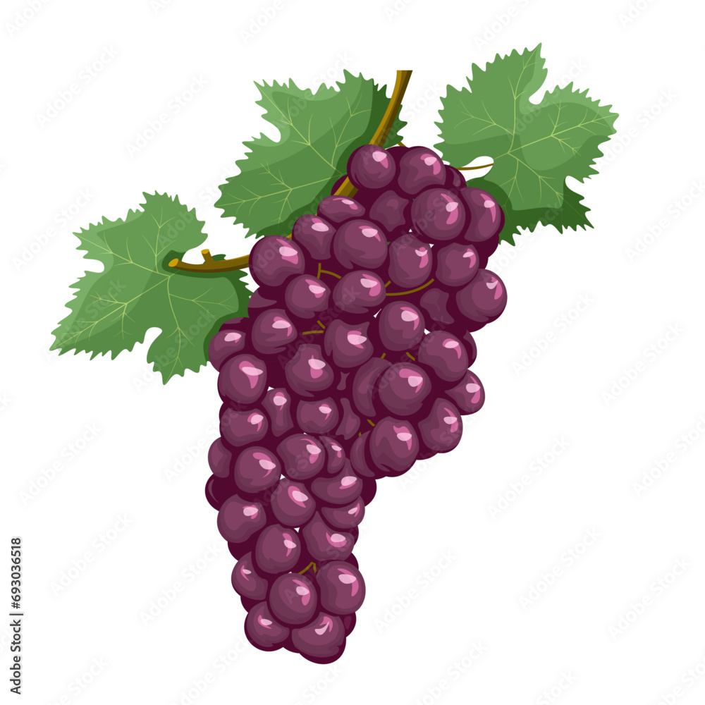 Fototapeta premium Vector branch of grapes in flat style isolated on white background