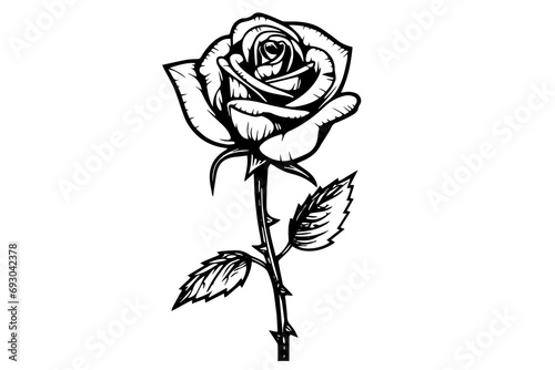 Rose flower hand drawn ink sketch. Engraving style vector illustration.