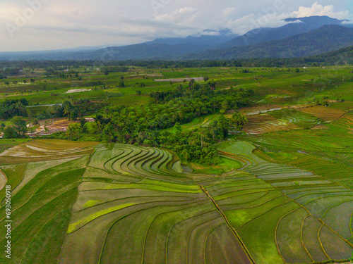Beautiful morning view indonesia Panorama Landscape paddy fields with beauty color and sky natural light