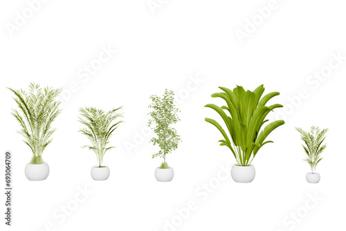 Set of tropical flower in pot isolated on white, 3d render