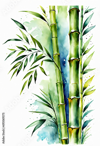 bamboo illustration  waterclor  splash  coloful  vivid  leafs