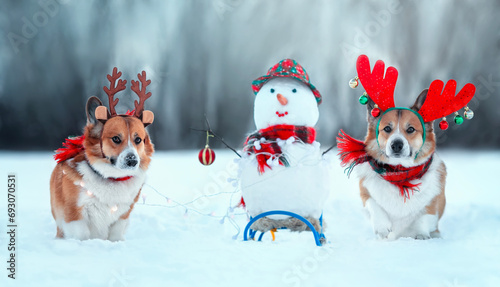 Canvas Print Christmas card with two corgi dogs in warm scarves and reindeer antlers walking