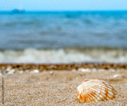 bright striped shell in quartz sand against the blue sea © Sofiia