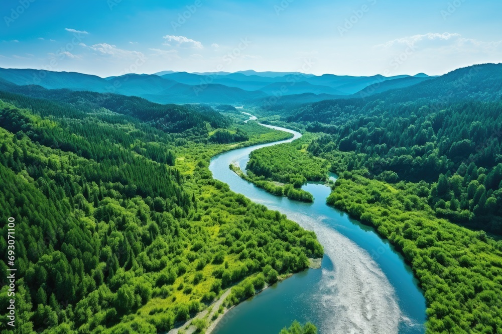 Stunning aerial view of a winding river through lush green forests, pristine natural beauty