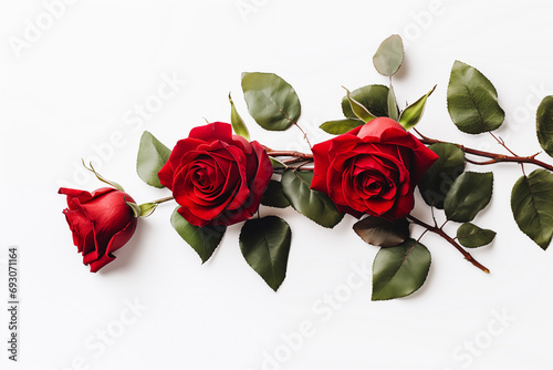 Saint Valentin, Amour floral:  Roses Rouges et Élégance sur Fond Blanc photo