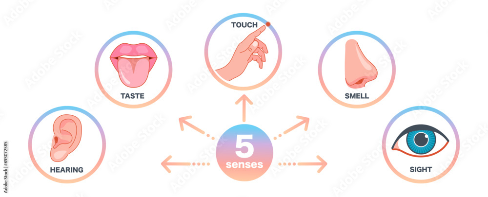 Senses icons set. 5 five types symbols. Vector illustration set