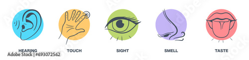 Senses line icons set. 5 five types symbols. Vector illustration set