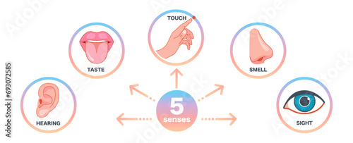 Senses icons set. 5 five types symbols. Vector illustration set