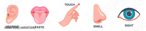Senses icons set. 5 five types symbols. Vector illustration set