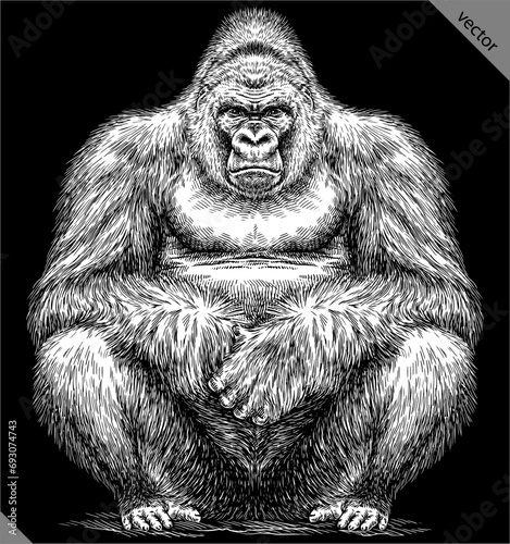 Vintage engraving isolated gorilla set illustration ape ink sketch. Monkey kong background primate silhouette art. Black and white hand drawn vector image