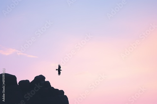 silhouetted eagle on cliff at dusk  pink sky