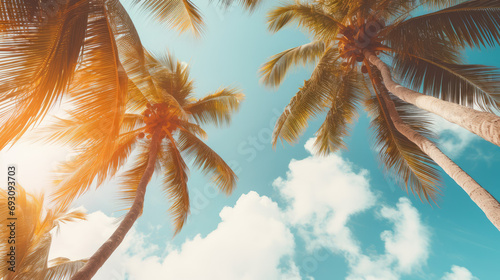 Blue sky and palm trees view from below  vintage style  tropical beach and summer background  travel concept