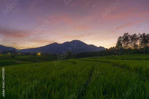 Beautiful morning view indonesia Panorama Landscape paddy fields with beauty color and sky natural light © RahmadHimawan