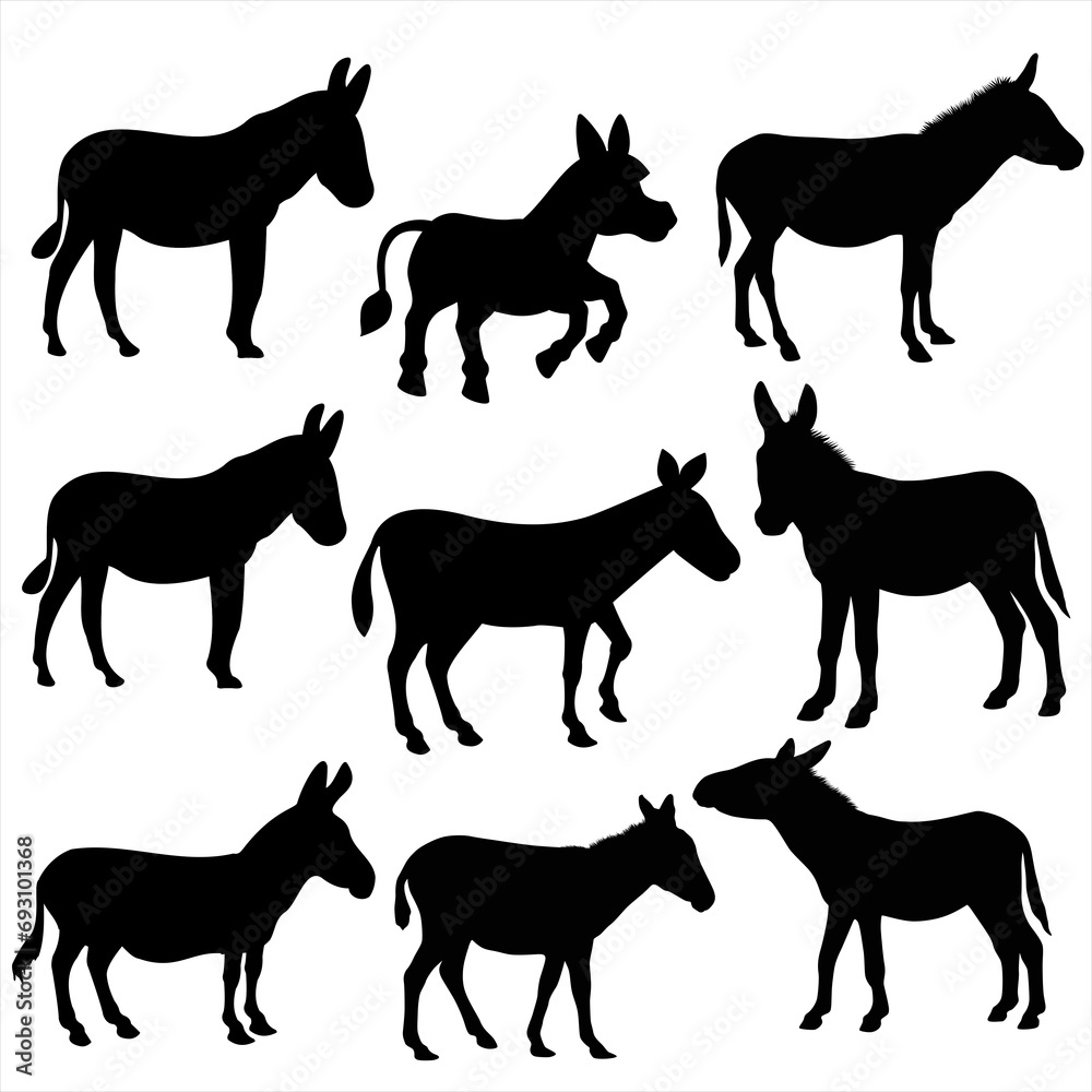 Donkey. Farm animals vector set illustration