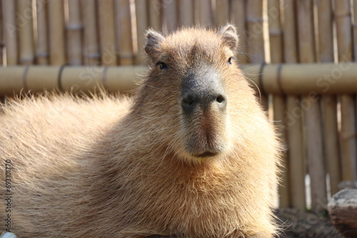 ときわ動物園、宇部、山口県