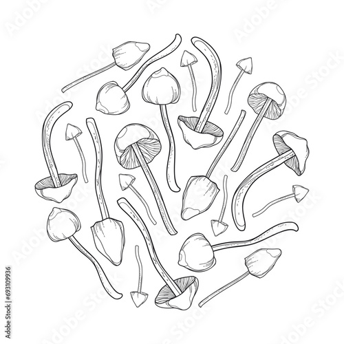 Round bunch with outline Psilocybe mushroom (Liberty Cap) in black isolated on white background. 