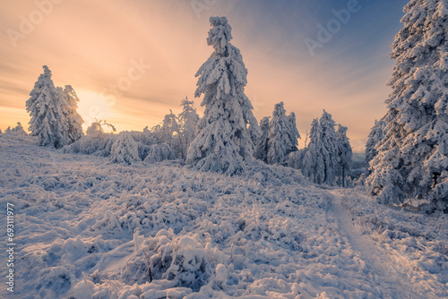 Deep snow-covered winter landscape on the Großer Feldberg in Taunus - Germany on a sunny day