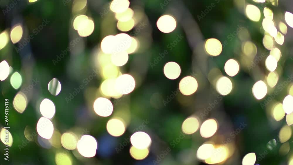 Flickering Christmas warm lights on a Christmas tree from blur to focus