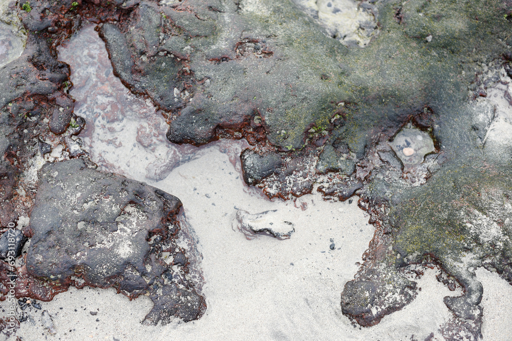 Naklejka premium Stones in the sand at the beach in Fuerteventura Costa Calma beach Canary Islands wallpaper