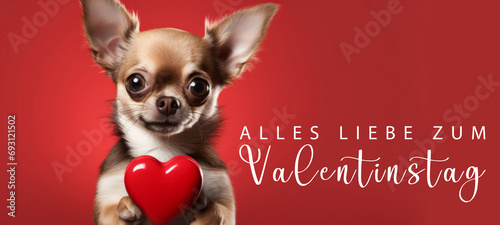Alles Liebe zum Valentinstag, Grußkarte mit deutschem Text - Niedlicher stehender Chihuahua Hund hält rotes Herz , isoliert auf rotem Hintergrund © Corri Seizinger