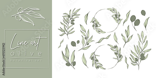 Set of Olive Branches and leaves in Line Minimal Style. Vector Illustrations of Branches With fruits and Leaves for logos, patterns, greeting cards, wedding Invitations, social media, web design.	