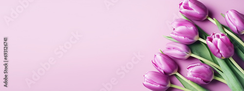 Beautiful pink tulips on pastel pink background, flat lay, top view, copy space. Spring floral background