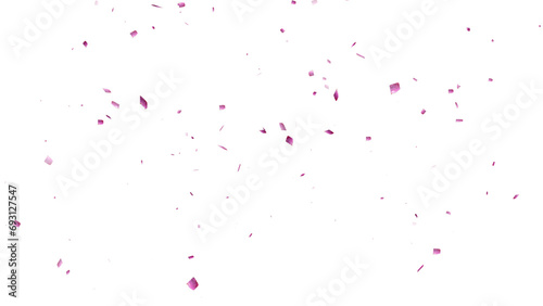 Cherry Blossom falling with transparent background  for overlays