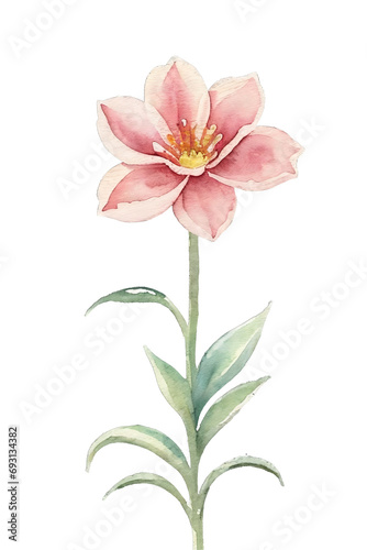 Flower watercolor. Isolated illustration with alpha channel.  © Ivan