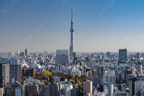 スカイツリーと東京の町並み　
Skytree and Tokyo cityscape