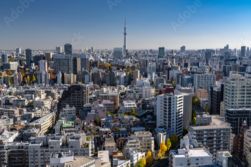                                            Skytree and Tokyo cityscape