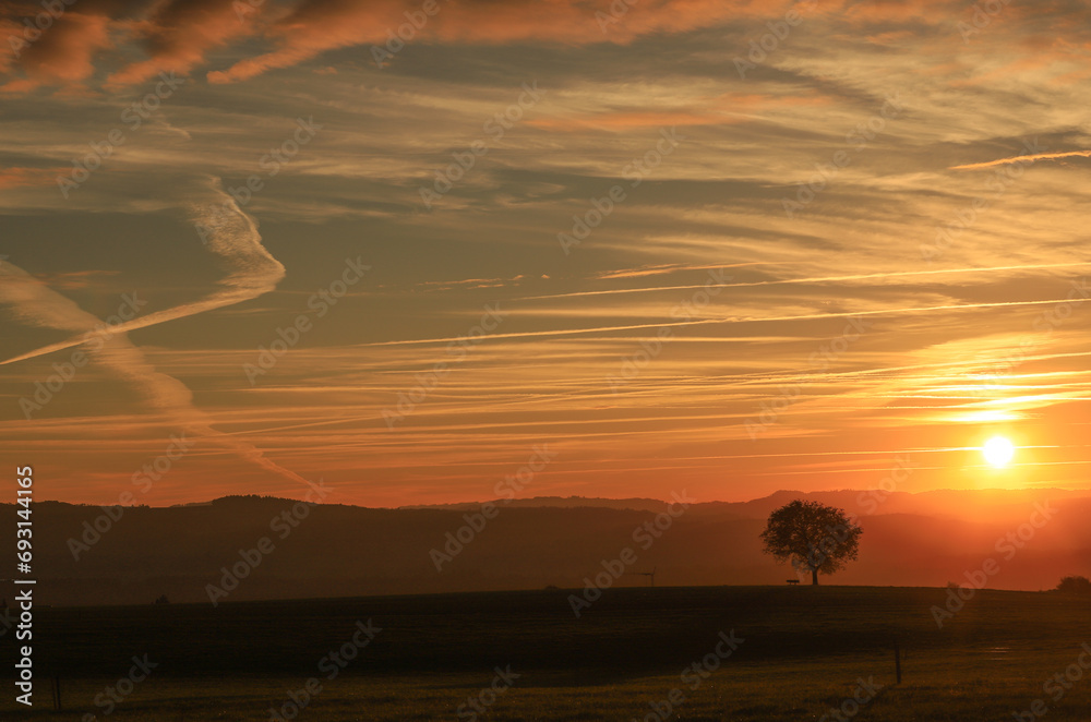single tree on a hill with dramatic orange sunset clouds