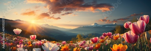 beautiful panoramic landscape with a serene sunrise over tulip flowers