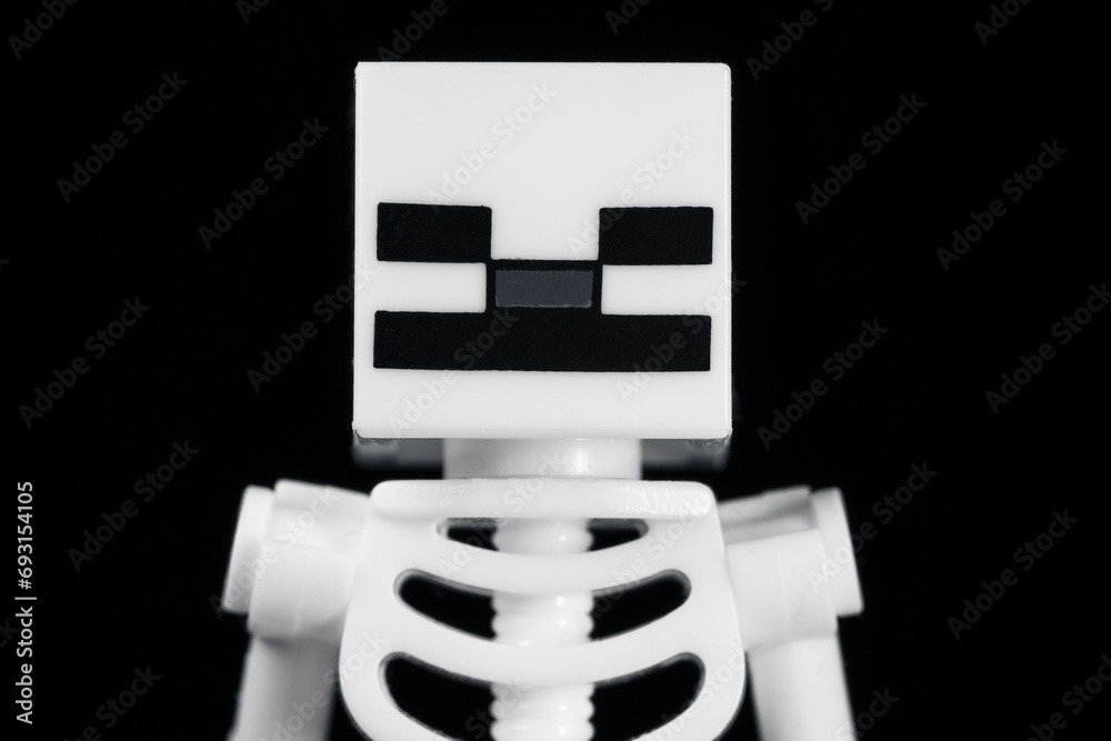 Obraz premium Plastic LEGO MINECRAFT skeleton close-up