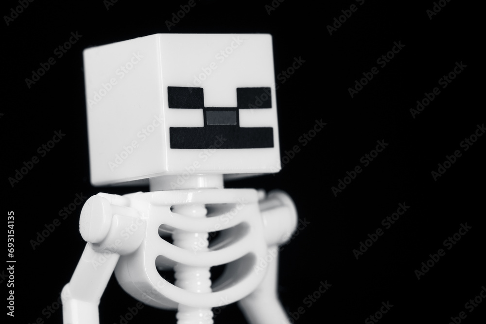 Obraz premium Plastic LEGO MINECRAFT skeleton close-up