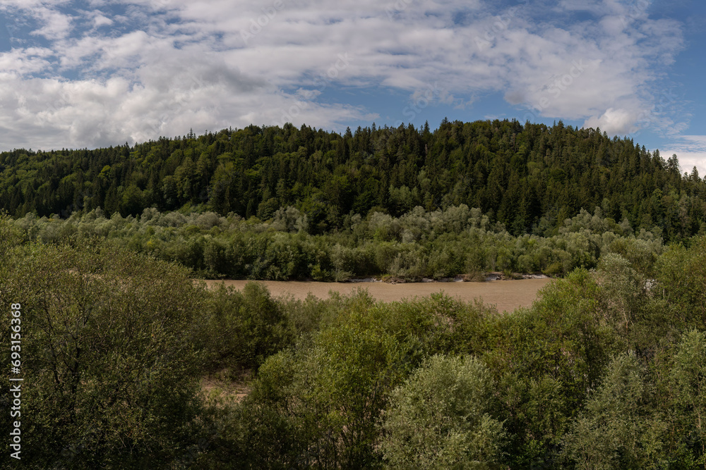 Serene Riverbed Flanked by Lush Forest Canopy