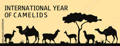 Illustration of a camelids. Bactrian camel, Alpaca, dromedary, guanaco, llama, vicuña silhouettes. International Year of Camelids. Vector illustration. photo