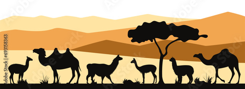 International Year of Camelids. Landscape with bactrian camel, alpaca, dromedary, guanaco, llama, vicuña silhouettes. Horizontal banner. Vector illustration. photo