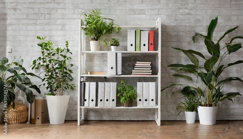 office bookcase with plants and folders over wall