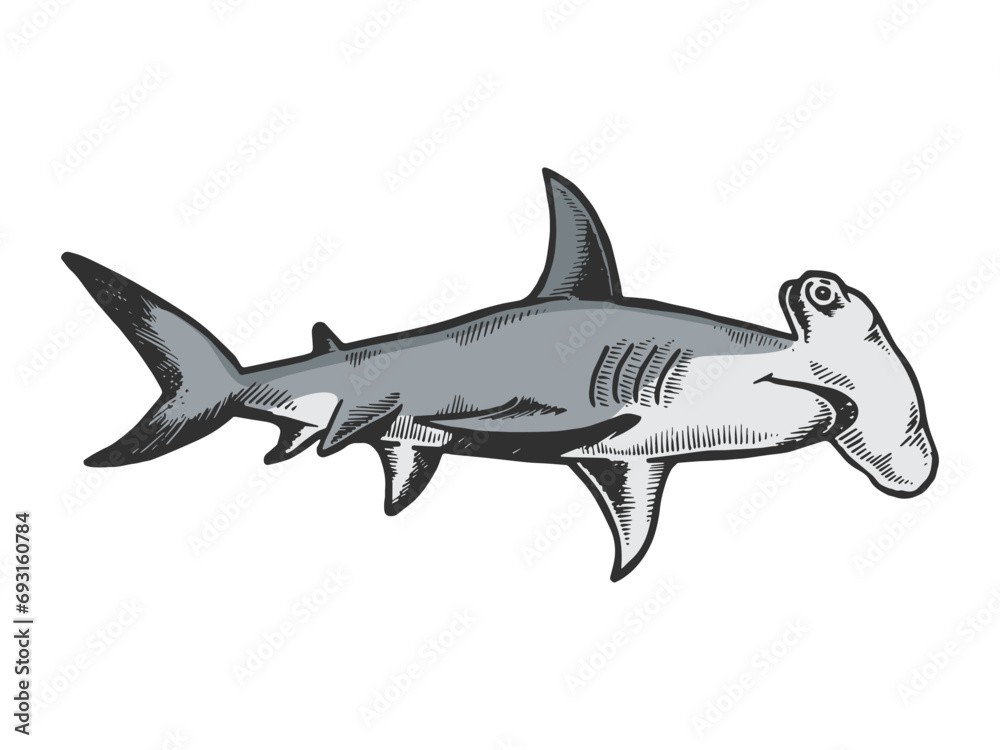 Fototapeta premium Great hammerhead shark fish animal engraving sketch style hand drawn color vector illustration. Scratch board style imitation. Black and white hand drawn image.