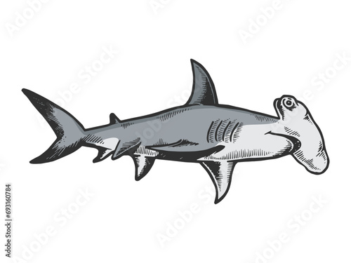 Great hammerhead shark fish animal engraving sketch style hand drawn color vector illustration. Scratch board style imitation. Black and white hand drawn image.