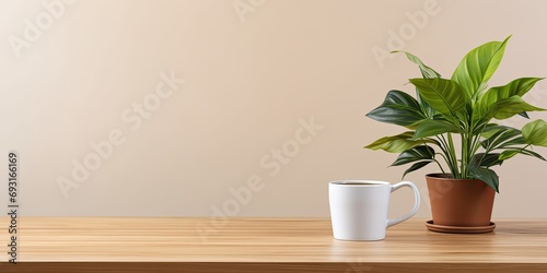 Front view of a wooden desk with a coffee mug and a houseplant  providing space for work and copying.