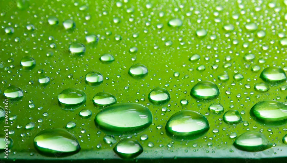 the water drop on fresh green background