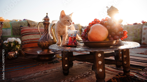 Cute red cat walking on table with fresh fruits and hot tea at popular istanbul terrace. Turkish design pillows and carpets lying near. Summer sunrise on background.