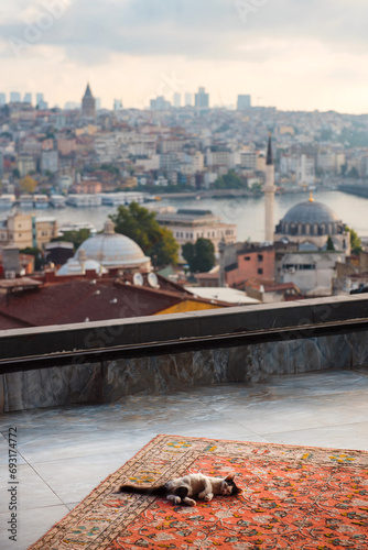 Photography Picturesque view of Bosphorus and Istanbul city during morning time from high terrace with panoramic windows