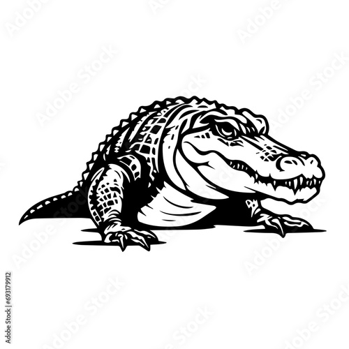 Alligator Vector
