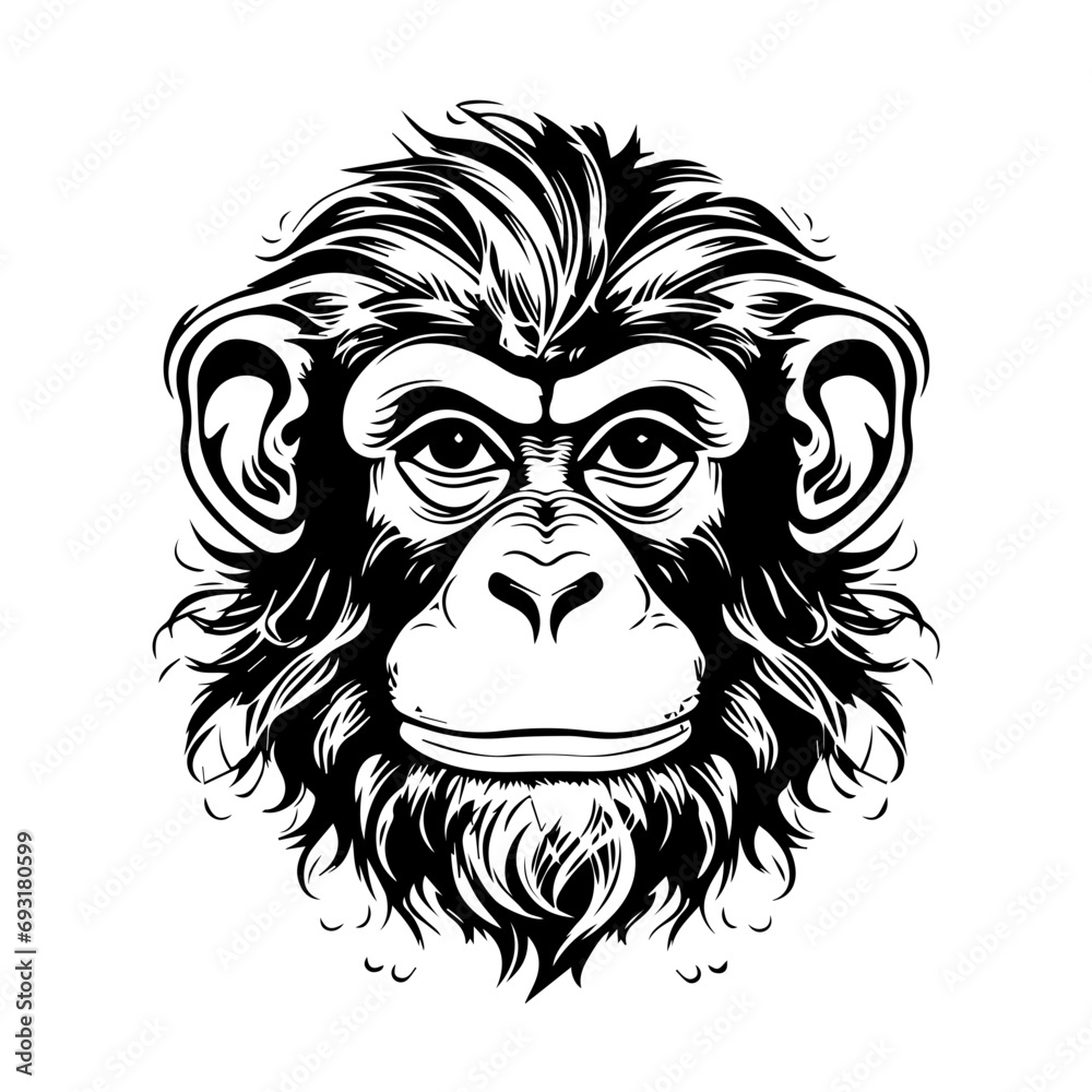 Monkey Vector